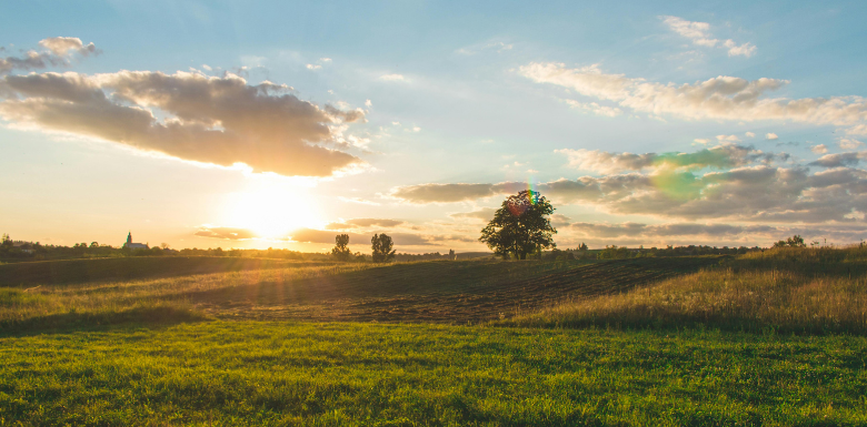 une exploitation agricole