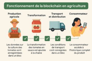 schéma explicatif de l'utilisation de la block chain en agriculture