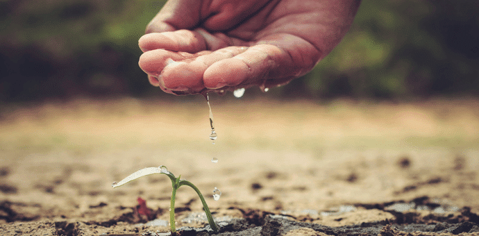impact des changements climatiques en agriculture