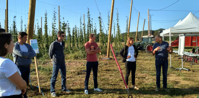 Inauguration de la parcelle expérimentale de houblon, Sainte-Livrade-sur-Lot, septembre 2019